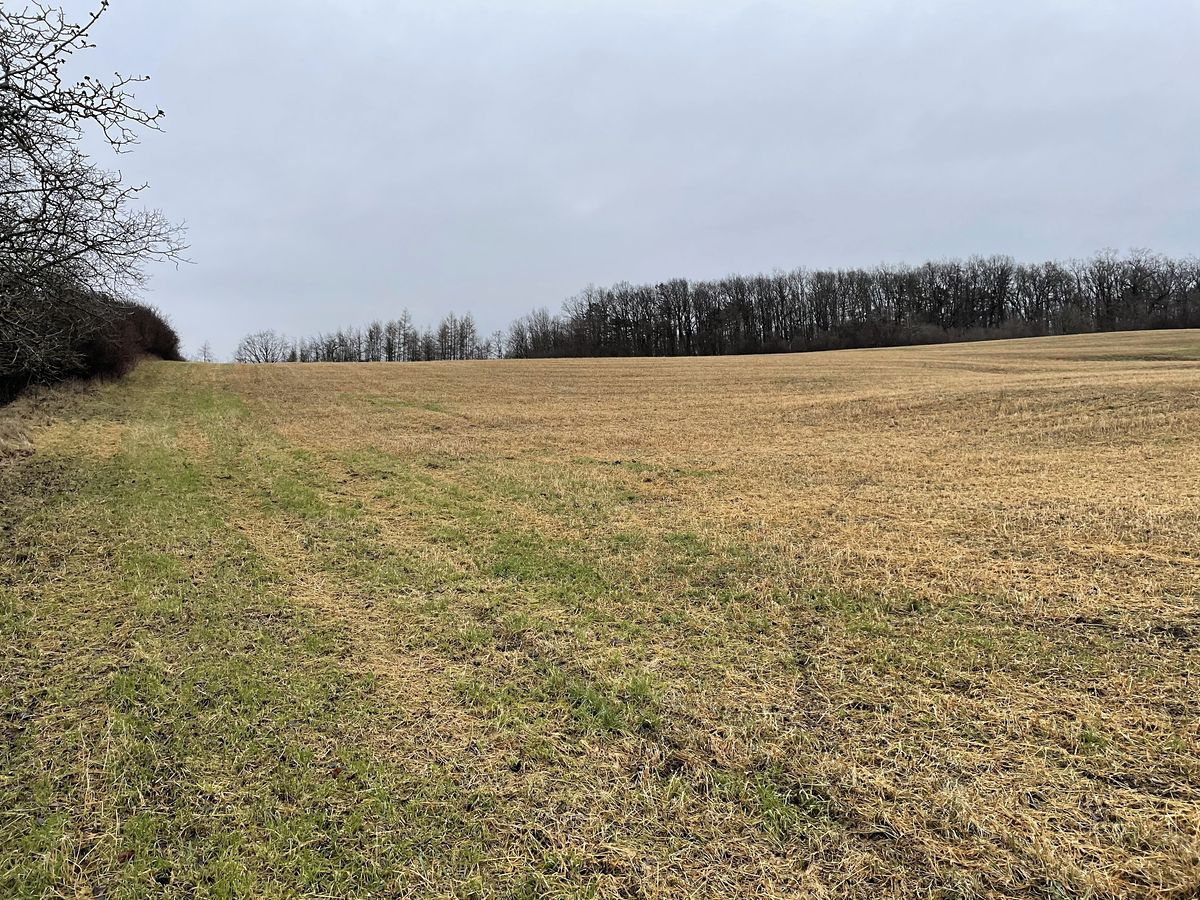 Prodej pole 98148 m²
