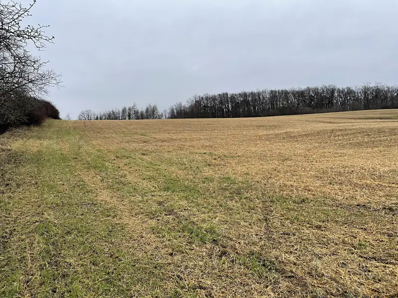 Prodej pole 98148 m², Polepy – náhled fotky 1