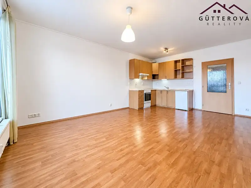 Pronájem bytu 1+kk 32 m², Plzeň – náhled fotky 1