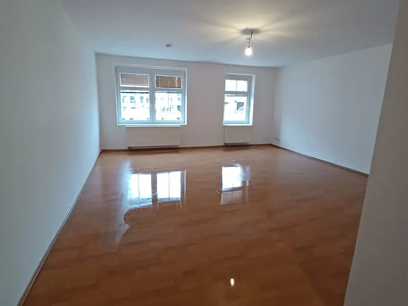Pronájem bytu 1+1 54 m², Plzeň – náhled fotky 2