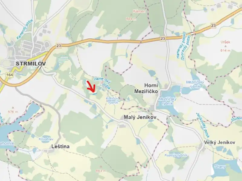 Prodej lesa 881 m², Strmilov – náhled fotky 1
