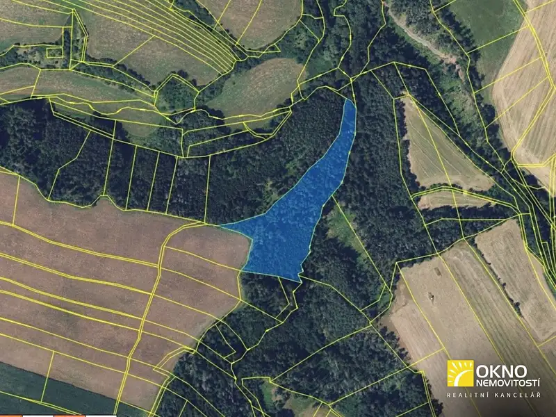 Prodej lesa 18752 m², Letovice – náhled fotky 2