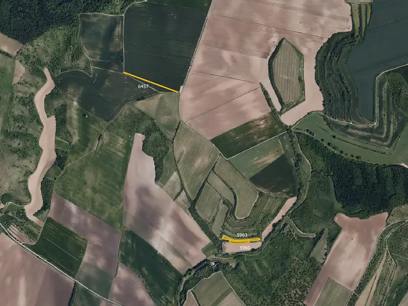 Prodej sadu, vinice 4057 m², Uherčice – náhled fotky 3