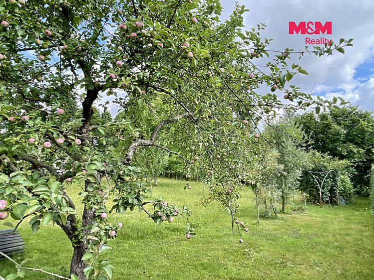 Grundstück zum Kauf, 500 m² (4 von 11)