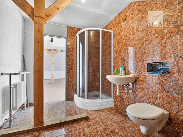 Prodej domu, 326 m² (38 z 92)