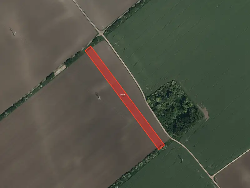 Prodej pole 5963 m², Veselí nad Moravou – náhled fotky 1