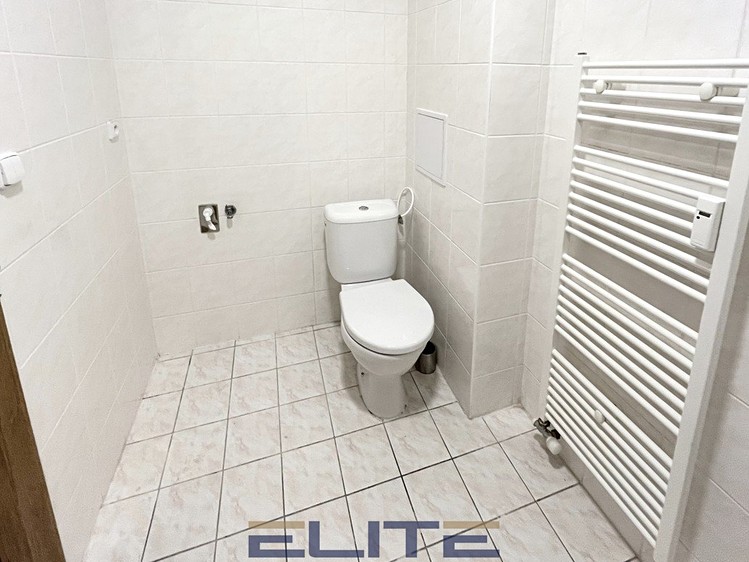 Wohnung 1+kk zur Miete, 30 m² (6 von 16)