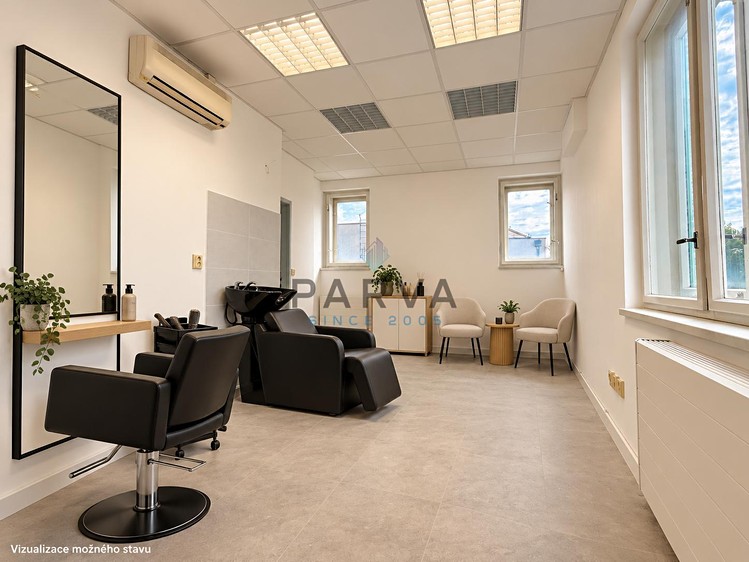Pronájem komerčního prostoru, 20 m² (12 z 17)