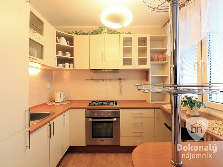 Pronájem bytu 1+kk, 43 m² (1 z 12)