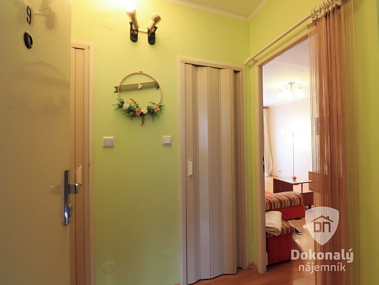 Pronájem bytu 1+kk, 43 m² (6 z 12)