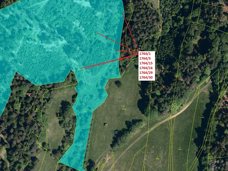 Dražba lesa 10498 m², Trnava – náhled fotky 2