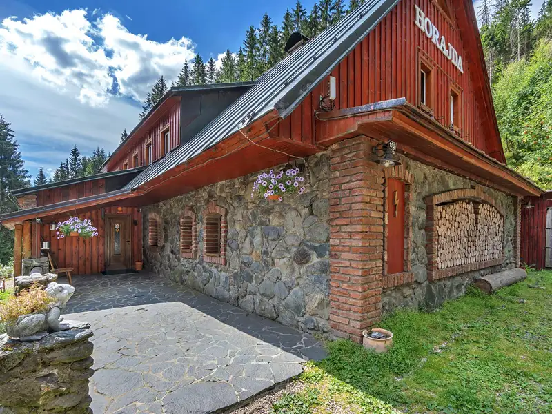 Prodej chalupy 500 m², pozemek 2095 m², Vítkovice – náhled fotky 2