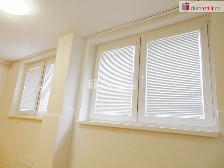 Квартира 1+kk в оренду, 21 м² (6 з 14)