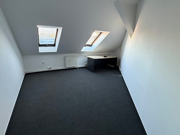 Pronájem nemovitosti, 19 m² (1 z 4)