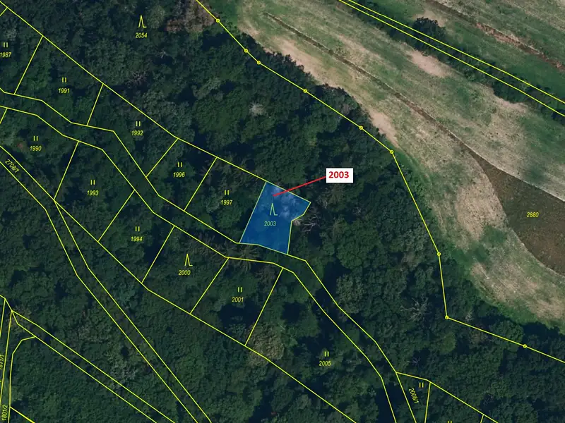 Dražba lesa 342 m², Hluboké Mašůvky – náhled fotky 2