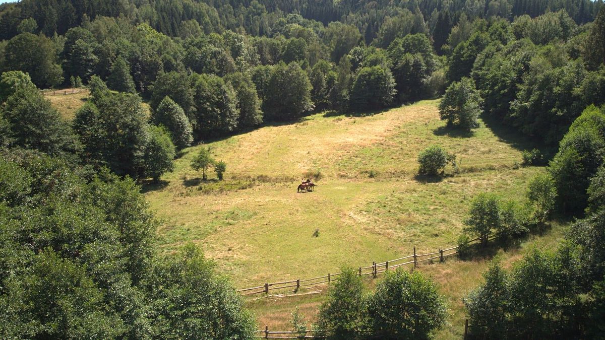 Prodej stavebního pozemku 3027 m² – fotografie 2