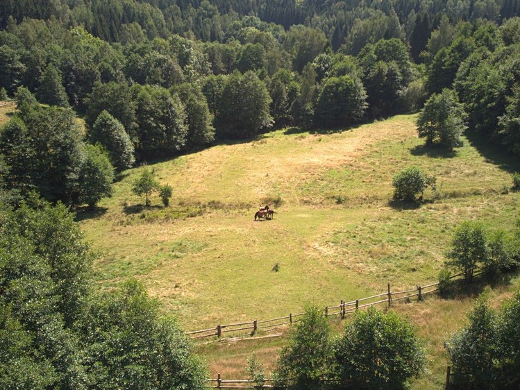 Prodej pozemku, 3 027 m² (2 z 5)