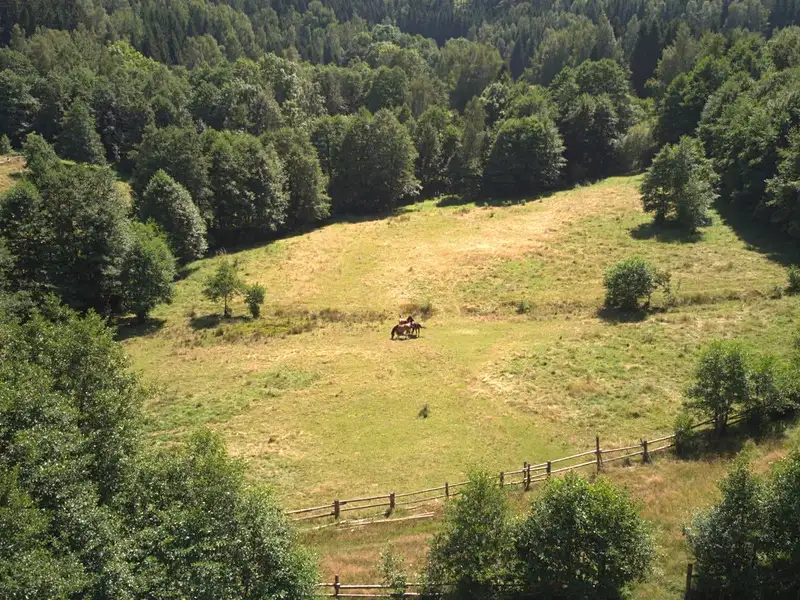 Prodej stavebního pozemku 3027 m², Olešnice v Orlických horách – náhled fotky 2