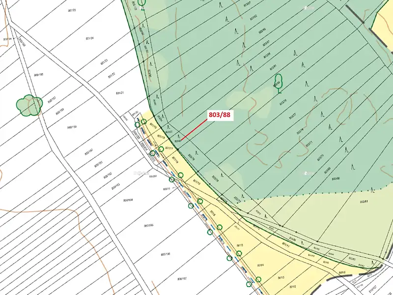 Dražba lesa 107 m², Přísnotice – náhled fotky 3