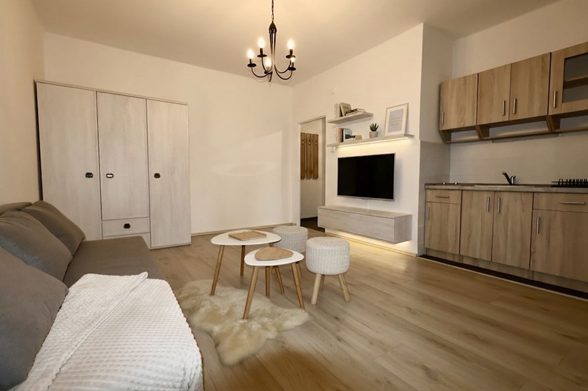 Pronájem bytu 1+kk 25 m²