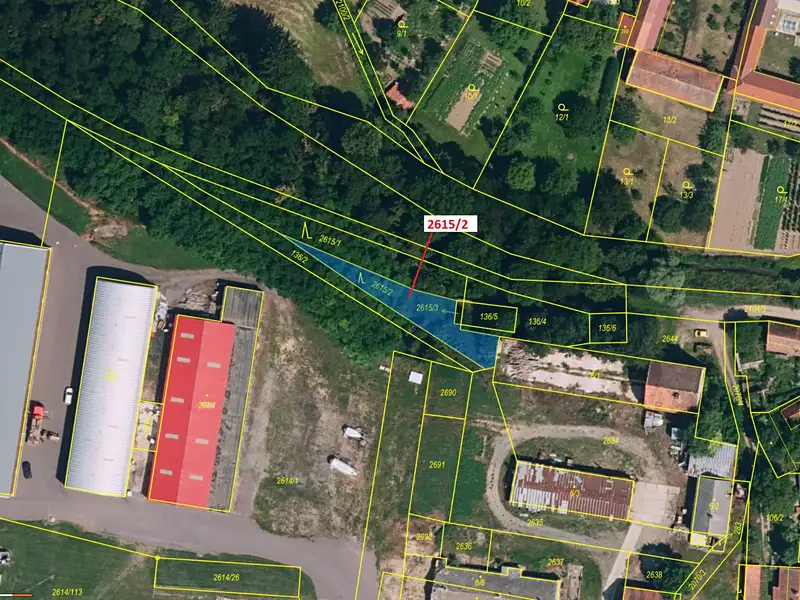 Dražba lesa 391 m², Horní Dunajovice – náhled fotky 2
