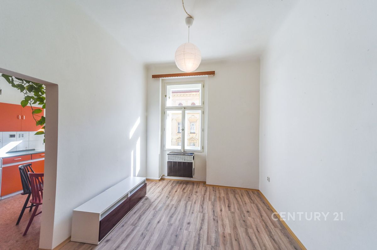 Pronájem bytu 1+1 44 m² – fotografie 3