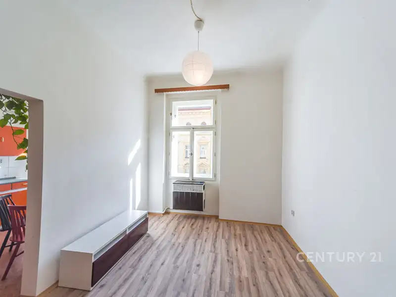 Pronájem bytu 1+1 44 m², Praha – náhled fotky 3