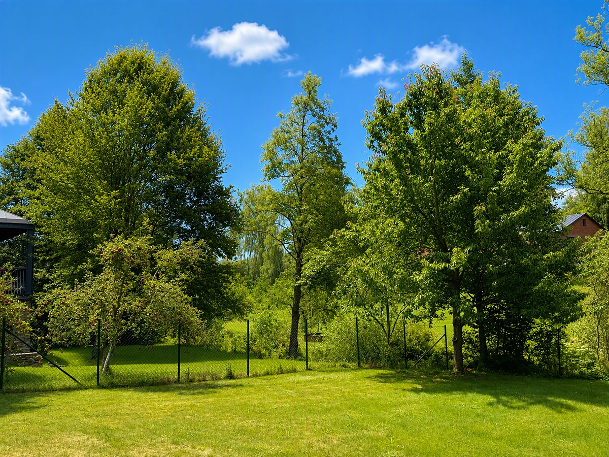 Prodej rodinného domu 60 m², pozemek 776 m² – fotografie 4
