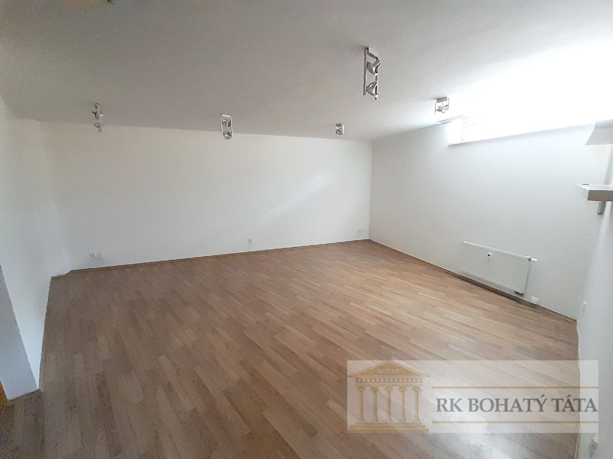 Pronájem bytu 1+kk 46 m² – fotografie 3