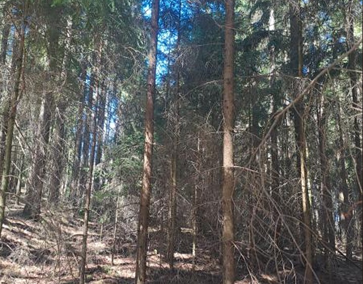 Ділянка на продаж, 1 331 м² (1 з 6)
