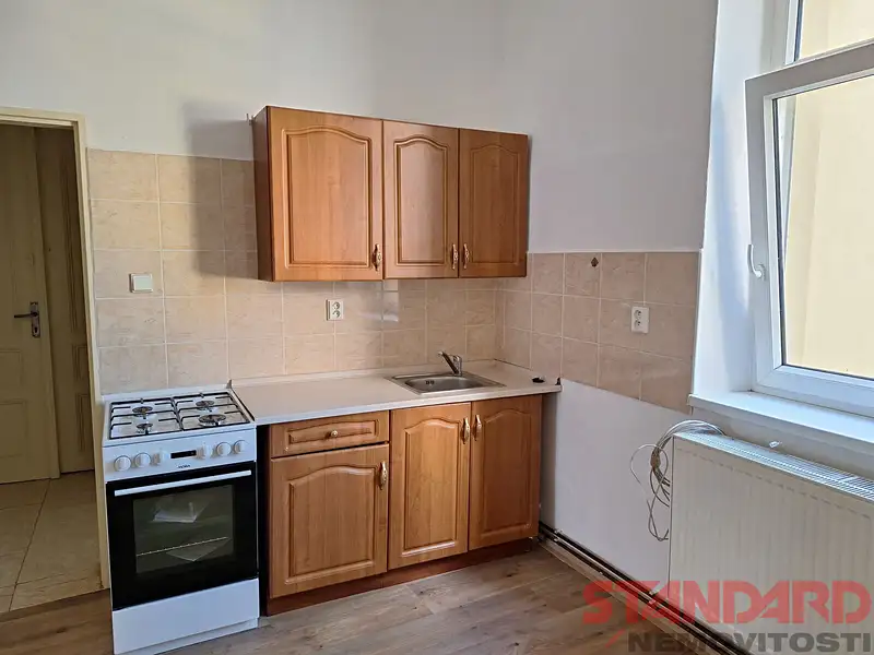 Pronájem bytu 1+1 45 m², Plzeň – náhled fotky 2