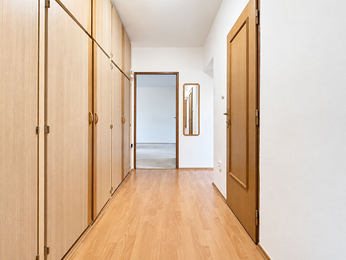 Pronájem bytu 2+1 53 m² – fotografie 4