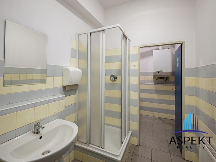 Комерційне приміщення в оренду, 224 м² (11 з 18)