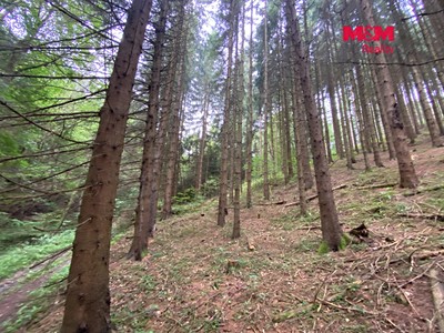 Ділянка на продаж, 11 485 м² (2 з 6)