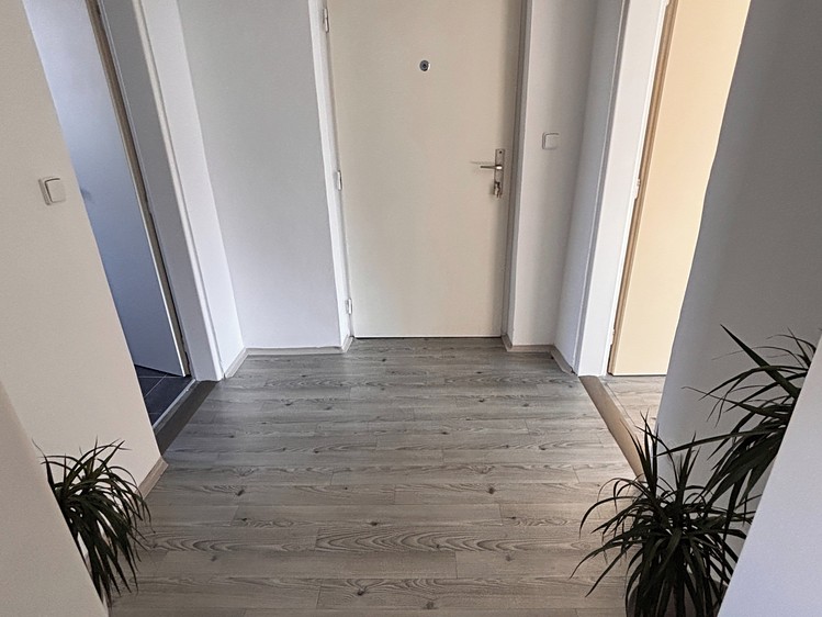 Pronájem bytu 1+1, 47 m² (7 z 9)