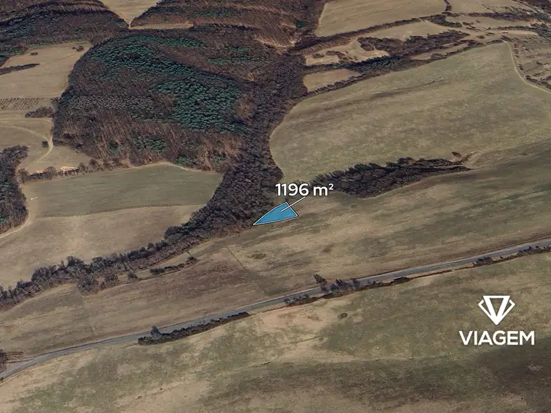 Prodej pole 7333 m², Doubravy – náhled fotky 1