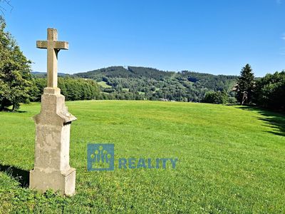 Prodej lesa 44299 m²