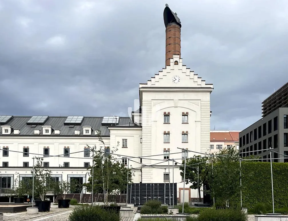 Pronájem kanceláře 446 m²