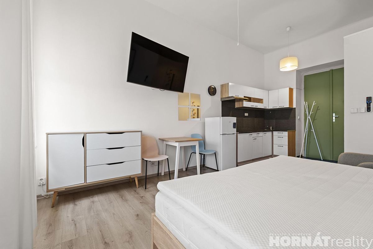 Pronájem bytu 1+kk 28 m² – fotografie 4