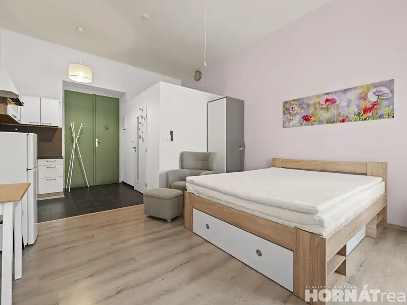 Pronájem bytu 1+kk 28 m², Praha – náhled fotky 2