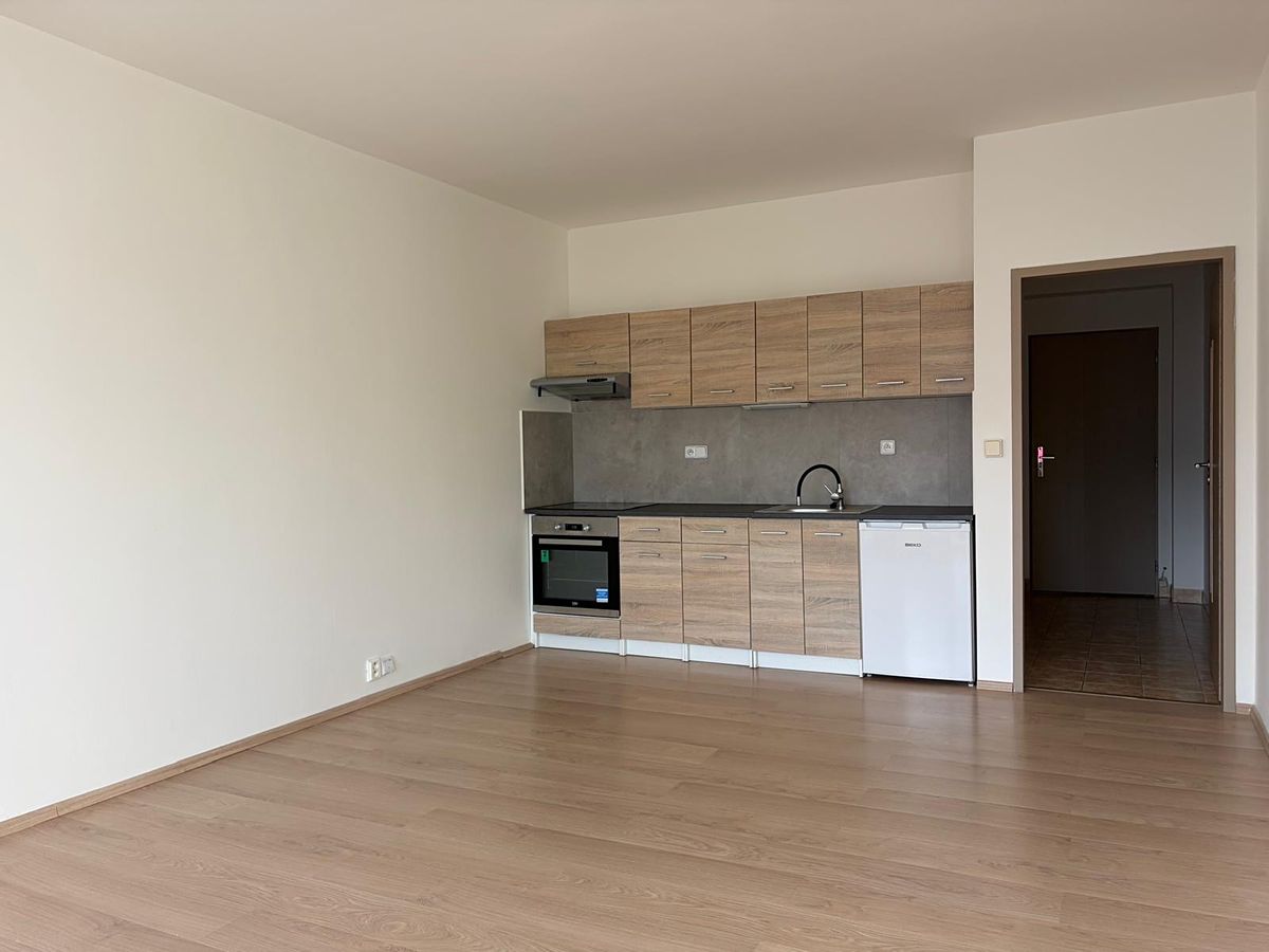 Pronájem bytu 1+kk 36 m²