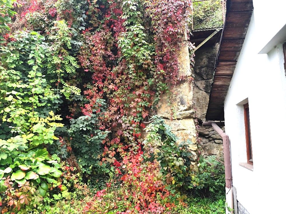 Prodej rodinného domu 56 m², pozemek 393 m² – fotografie 5