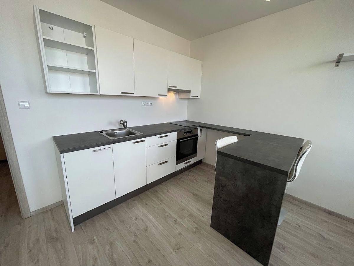 Pronájem bytu 1+kk 25 m² – fotografie 3