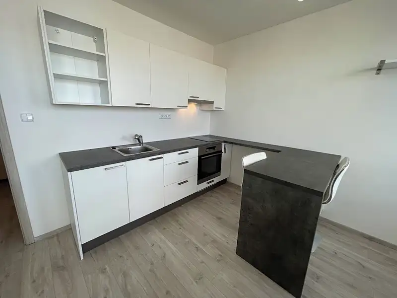 Pronájem bytu 1+kk 25 m², Praha – náhled fotky 3