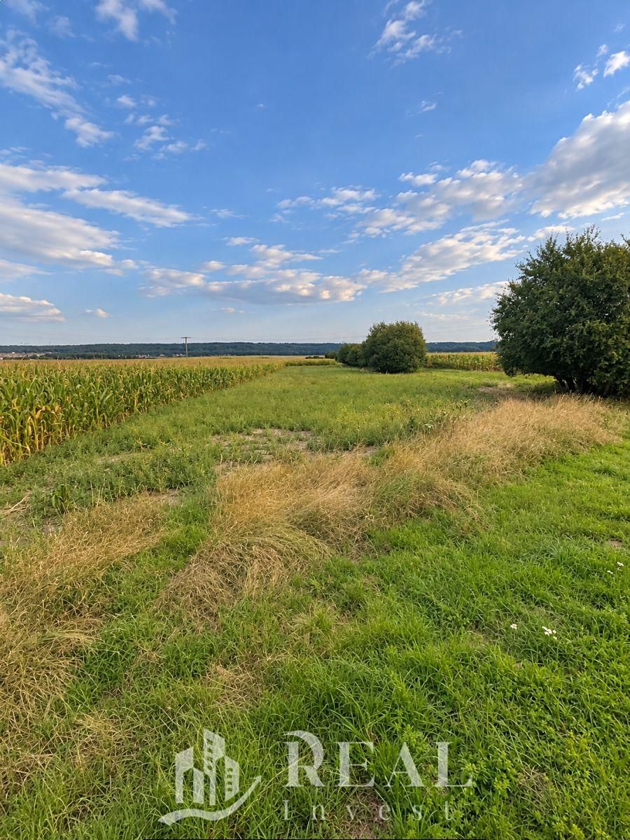 Prodej stavebního pozemku 915 m² – fotografie 5