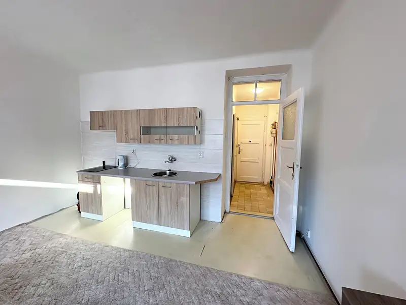 Pronájem bytu 1+kk 30 m², Plzeň – náhled fotky 3