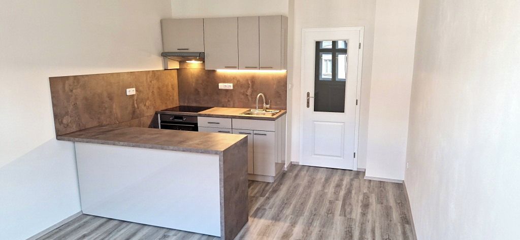 Pronájem bytu 1+1 45 m²
