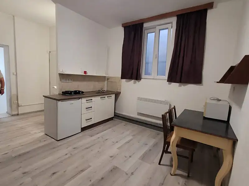 Pronájem bytu 1+1 43 m², Brno – náhled fotky 1
