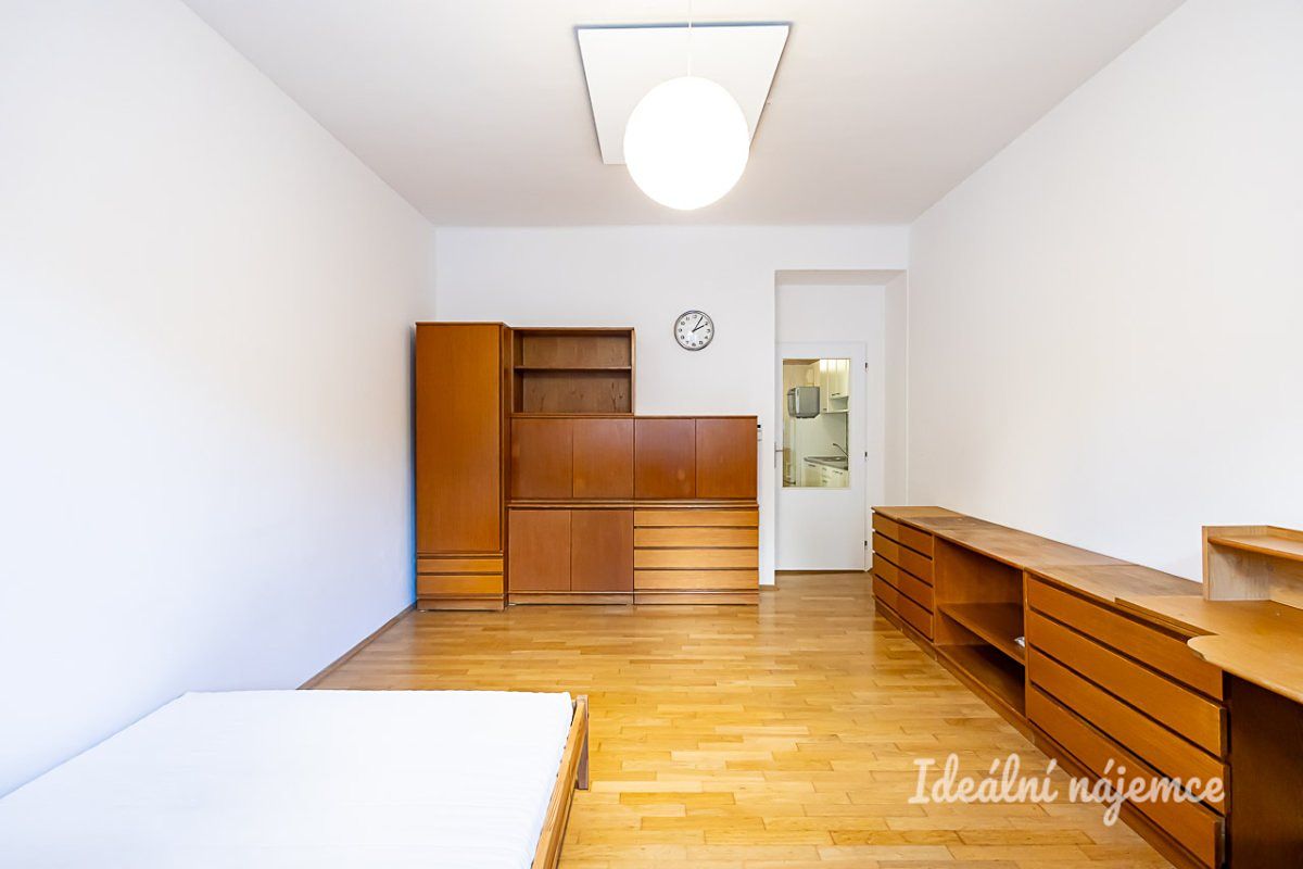 Pronájem bytu 1+kk 29 m² – fotografie 2