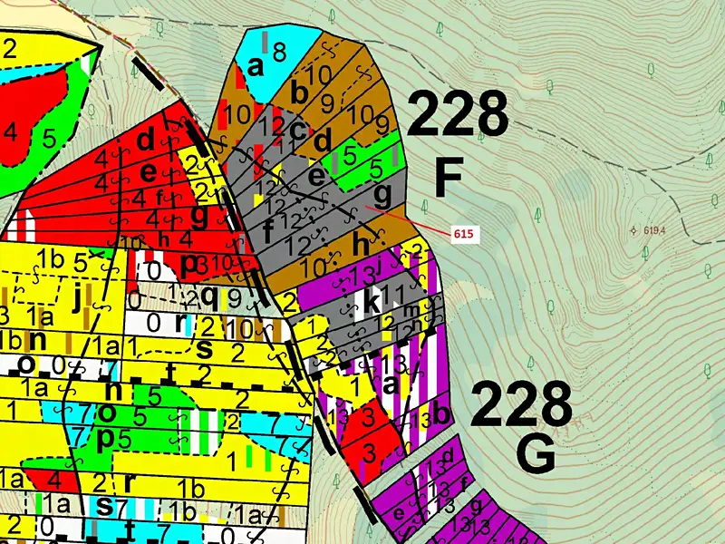 Dražba lesa 4478 m², Rabí – náhled fotky 3